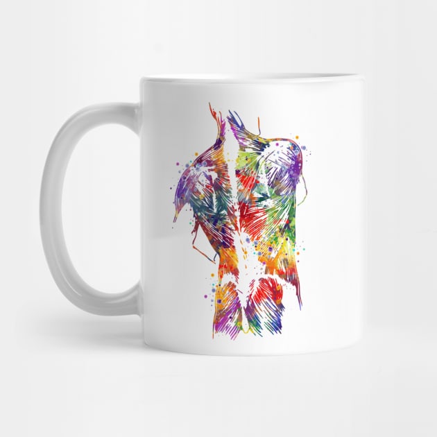 Human Back With Muscles Colorful Watercolor Gift by LotusGifts